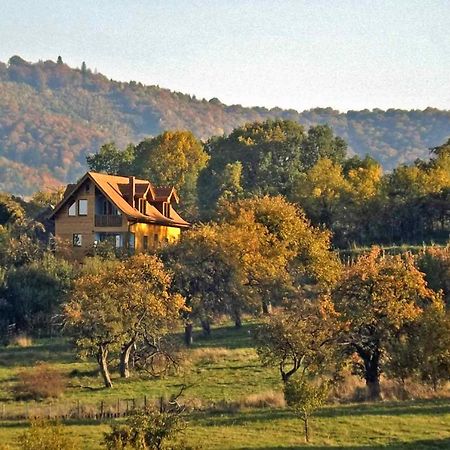 Casa Zollo Apartment Sălişte Екстериор снимка