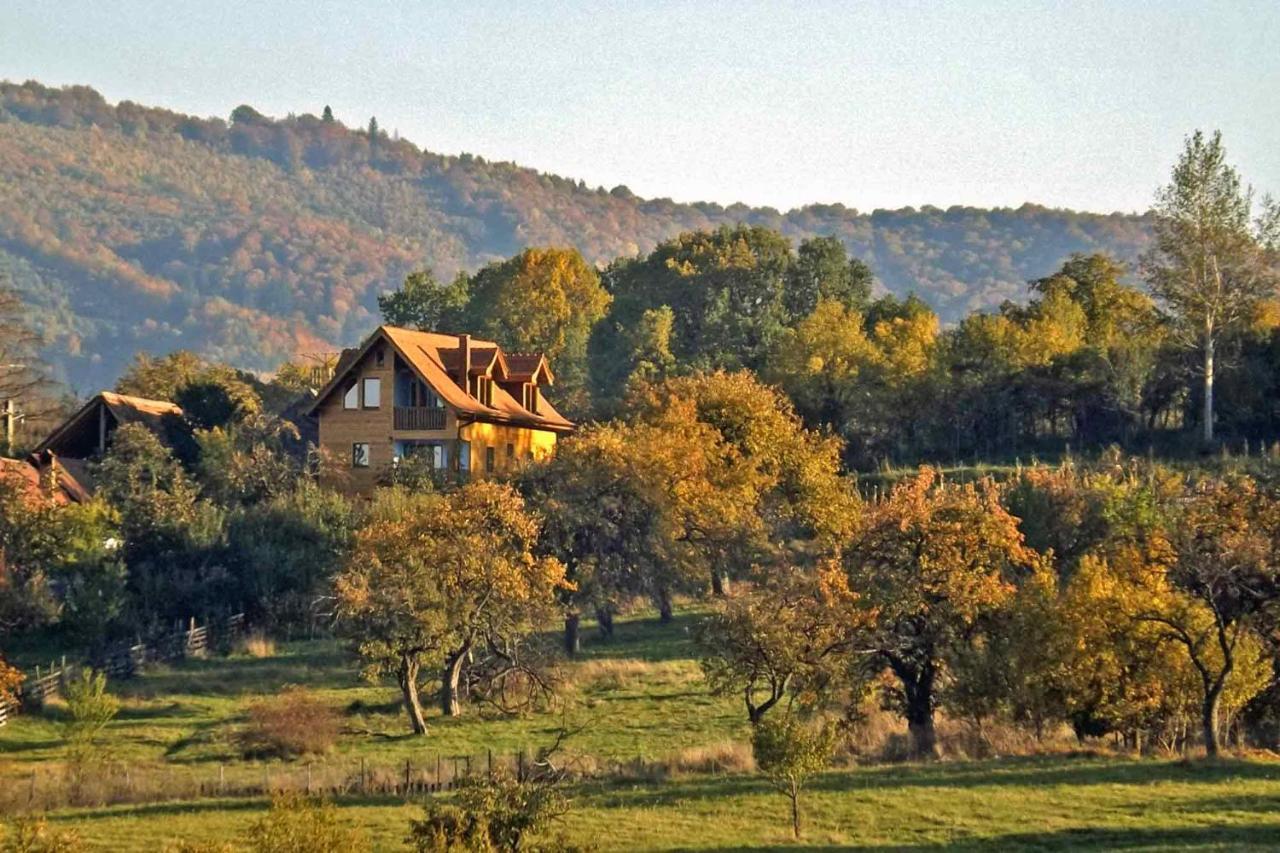 Casa Zollo Apartment Sălişte Екстериор снимка