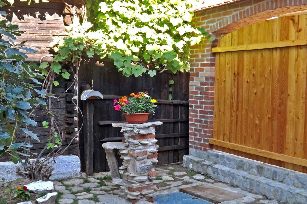 Casa Zollo Apartment Sălişte Екстериор снимка