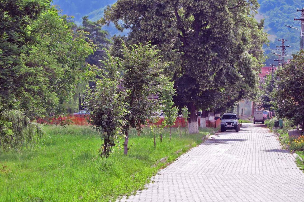 Casa Zollo Apartment Sălişte Екстериор снимка