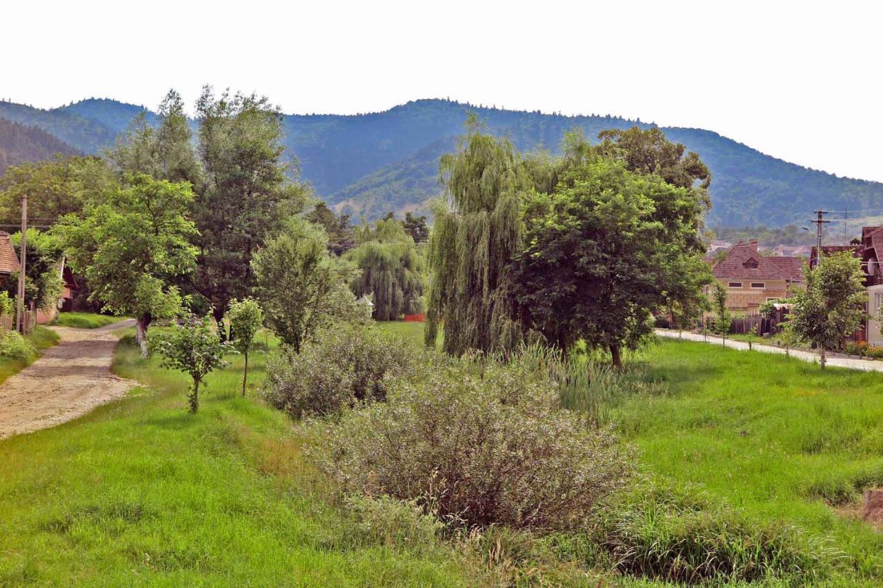 Casa Zollo Apartment Sălişte Екстериор снимка