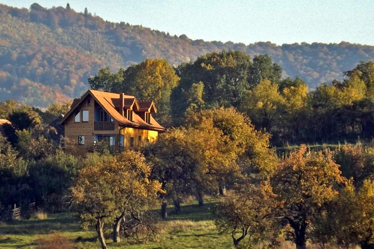 Casa Zollo Apartment Sălişte Екстериор снимка